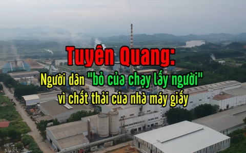 Nhà máy gây ô nhiễm môi trường ở Tuyên Quang: Trâu bò còn tuột da, người sống kiểu gì?