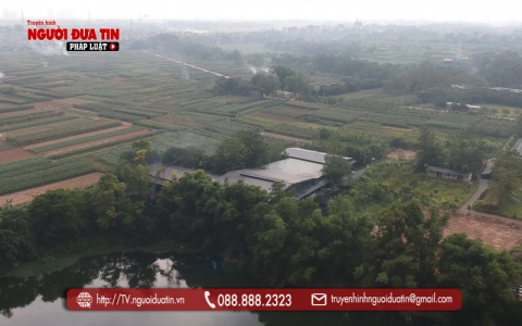Sau phản ánh của Truyền hình Người đưa tin: Doanh nghiệp đã có các biện pháp bảo vệ môi trường