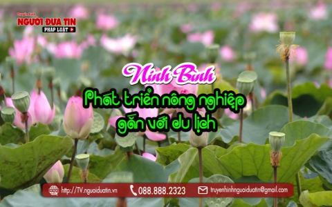 Ninh Bình phát triển mô hình nông nghiệp gắn với phục vụ du lịch