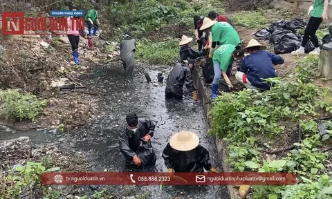 Hà Nội Xanh - Những người trẻ 'hồi sinh' dòng sông 'chết'