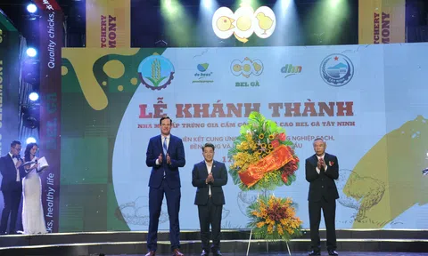 Bình Phước: Khánh thành nhà máy ấp trứng gà trị giá 200 tỉ đồng