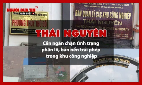 Thái Nguyên: Cần ngăn chặn tình trạng phân lô, bán nền trái phép trong khu công nghiệp