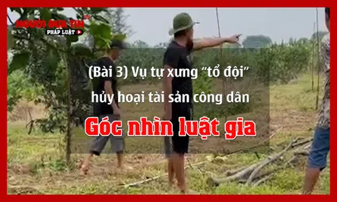 (Bài 3) Vụ tự xưng 'tổ đội' hủy hoại tài sản công dân: Góc nhìn luật gia