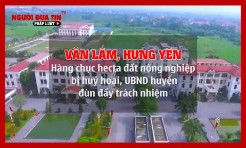 Hàng chục hecta đất nông nghiệp bị huỷ hoại ở Văn Lâm, Hưng Yên: (Bài 2) UBND huyện Văn Lâm vòng vo, đùn đẩy trách nhiệm