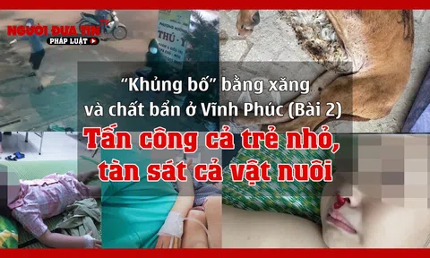 Một gia đình bị 'khủng bố' bằng xăng và chất bẩn ở Vĩnh Phúc: (Bài 2) Tấn công cả trẻ nhỏ, tàn sát cả vật nuôi
