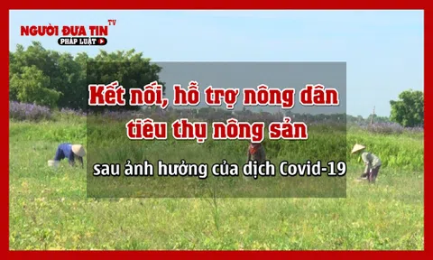 Kết nối, hỗ trợ nông dân tiêu thụ nông sản sau ảnh hưởng của dịch Covid-19