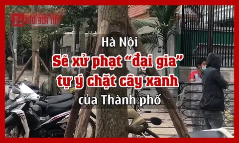 Cơ quan chức năng lập biên bản, kiến nghị xử lý 'đại gia' tự ý chặt cây xanh của Thành phố