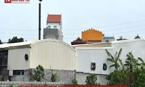 Thái Bình: Sản xuất gây ô nhiễm môi trường, công ty thực phẩm bị đình chỉ hoạt động