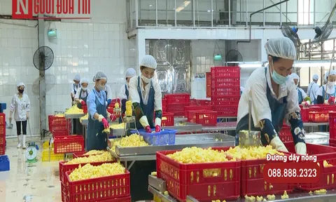 Chính sách tài chính và doanh nghiệp phục hồi sản xuất  thời “bình thường mới”