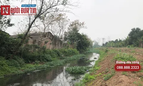 Ô nhiễm từ hoạt động chăn nuôi vùng ngoại thành Hà Nội: Phải xử lý trách nhiệm người đứng đầu