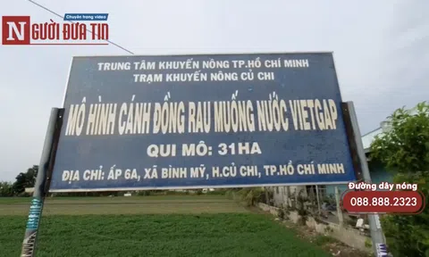 Dùng hoá chất độc hại trong sản xuất, chế biến thực phẩm có thể bị án tù