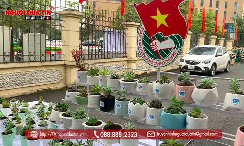 ‘Đổi rác thải nhựa lấy mầm xanh’ - Hành động nhỏ, ý nghĩa lớn