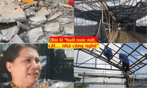 Công tác quản lý đất đai và đặc trưng phát triển làng nghề: (Bài 4) “Nuốt nước mắt, cắt… nhà công nghệ”