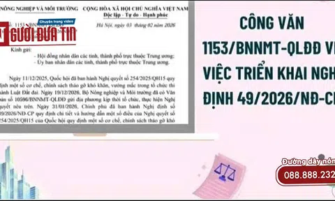 Bộ NN&MT triển khai Nghị định số 49/2026/NĐ-CP của Chính phủ