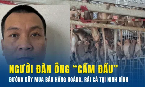 Thủ đoạn tinh vi của người đàn ông “cầm đầu” đường dây mua bán hồng hoàng, rái cá tại Ninh Bình