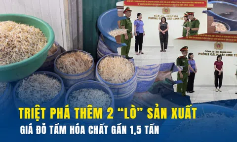 Triệt phá thêm 2 “lò” sản xuất giá đỗ tẩm hóa chất