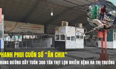 Phanh phui cuốn sổ “ăn chia” trong đường dây tuồn 300 tấn thịt lợn nhiễm bệnh ra thị trường
