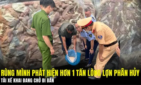 Rùng mình phát hiện hơn 1 tấn lòng lợn phân hủy: Tài xế khai đang chở đi bán