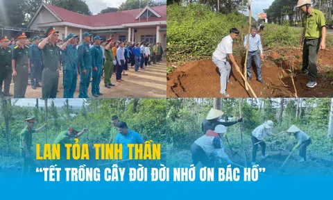 Quảng Sơn, Lâm Đồng: Lan tỏa tinh thần “Tết trồng cây đời đời nhớ ơn Bác Hồ”