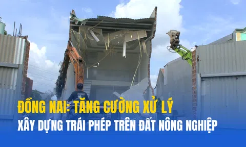 Đồng Nai: Phường Long Hưng tăng cường xử lý xây dựng trái phép trên đất nông nghiệp