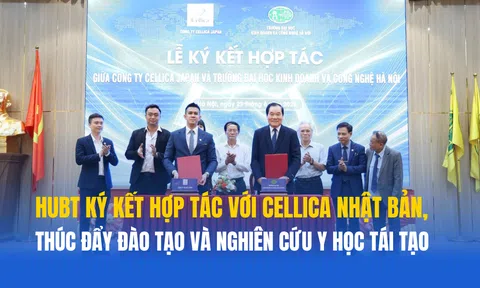 Y học tái tạo và tế bào gốc: Những hướng đi mới trong chăm sóc sức khỏe hiện đại