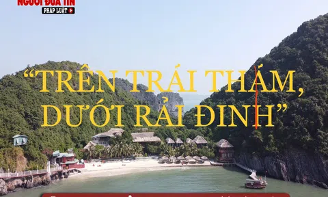 Chuyện kêu gọi đầu tư kiểu “trên trải thảm, dưới rải đinh” ở Hải Phòng: (Bài 1) Doanh nghiệp tiên phong và kết cục… đau lòng!
