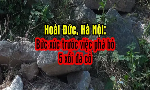 Hoài Đức, Hà Nội: Doanh nghiệp thi công kiểu huỷ hoại giá trị văn hoá, lịch sử