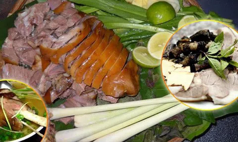 Hà Nội khuyến khích người dân bỏ thói quen ăn thịt chó, mèo