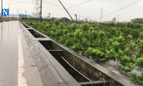 Xã Mễ Sở, Văn Giang, Hưng Yên: Chính phủ miễn thuỷ lợi phí, xã vẫn “âm thầm” thu suốt 10 năm