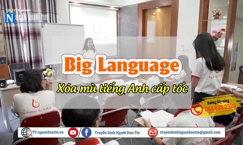 Big Language: Khóa học tiếng Anh bảo hành trọn đời