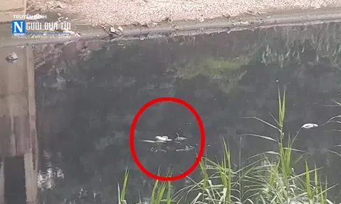 Hà Nội: Phát hiện xe máy chìm dưới sông Nhuệ