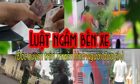 (Trailer) Luật ngầm bến xe