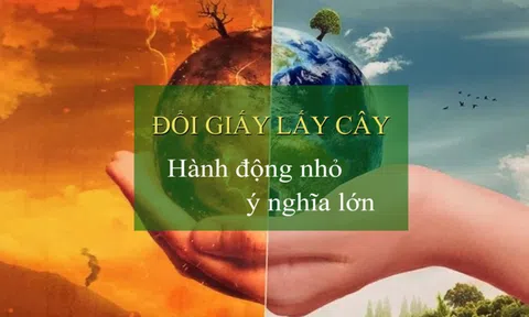 "Đổi giấy lấy cây" - Hành động nhỏ, ý nghĩa lớn