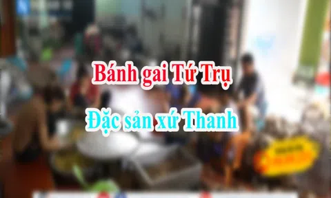 Bánh gai Tứ Trụ - Đặc sản hương vị xứ Thanh