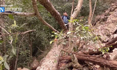 Bắc Kạn: Tỉnh kêu khó, Bộ Nông nghiệp và Phát triển Nông thôn sẵn sàng hỗ trợ