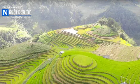 "Bay trên mùa vàng 2018": Ngắm trọn ruộng bậc thang Tây Bắc từ trên cao
