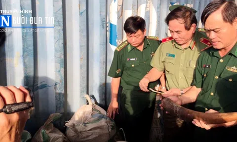 Đà Nẵng: Thu giữ 10 tấn ngà voi và vảy tê tê “đội lốt” nhựa tái chế