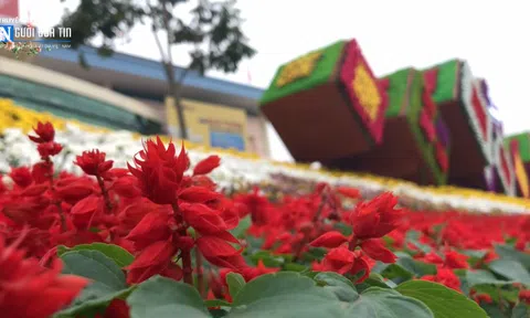 Yên Bái: Tết đầu tiên có phố hoa rực rỡ