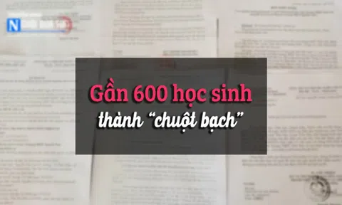 (Bài 3) Chữ ký của Chủ tịch tỉnh Quảng Ninh "biến" gần 600 học sinh thành "chuột bạch"