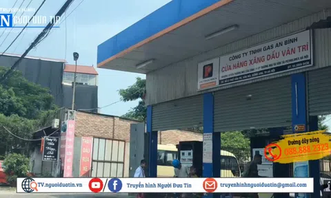 Bài 3: Lãnh đạo huyện Đông Anh có vô can?