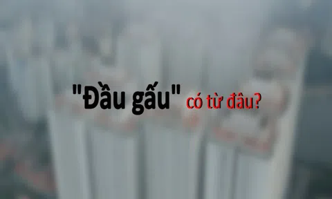 Khu đô thị kiểu mẫu có nhiều "đầu gấu": (Bài 5) “Đầu gấu” có từ đâu?