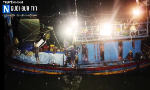 Bình Định: 10 ngư dân thoát nạn trong gang tấc