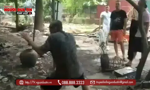 Tiếp bài “Đề nghị thu hồi 5 ‘sổ đỏ’ cấp trái quy định”: (Bài 4) Đủ căn cứ khởi tố vụ án hình sự?