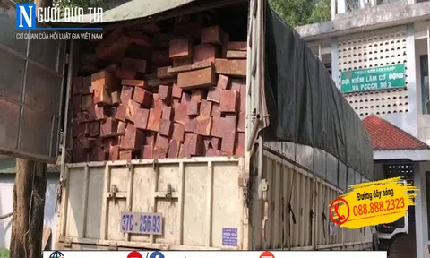 Hà Nội: CSGT phát hiện gỗ không trùng khớp với bản kê khai lâm sản