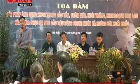 Ngành hoa lan và những giải pháp phát triển bền vững