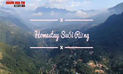 Độc đáo mô hình homestay kết hợp trại cá hồi ở Sa Pa