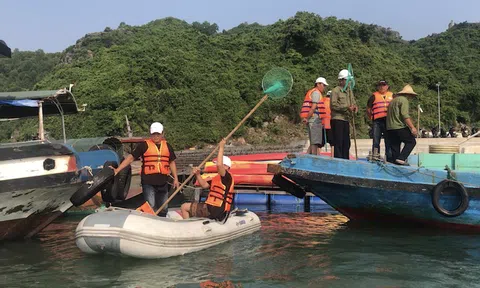 Hưởng ứng ngày đại dương thế giới: Hàng trăm người tham gia dọn rác trên biển Cát Bà