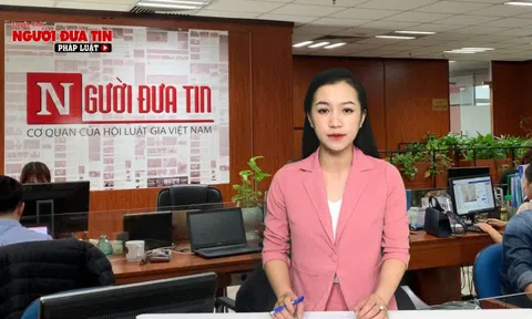 (Bài 5) Sau phản ánh của Truyền hình Người đưa tin: Chủ tịch TP Hà Nội đã chỉ đạo xử lý