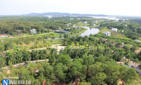 Chiêm ngưỡng "Forest in the sky" - Tòa nhà xanh nhất hành tinh đầu tiên tại Việt Nam