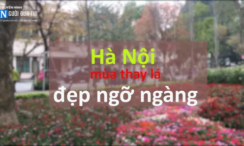 Hà Nội mùa thay lá, hoa nở trên khắp phố phường